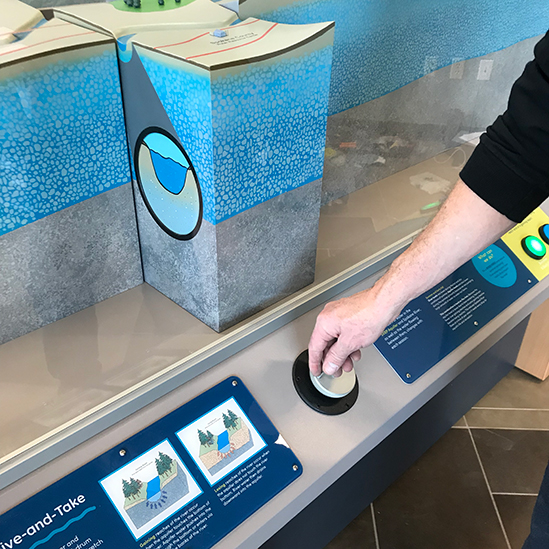 Seasonal shifts exhibit